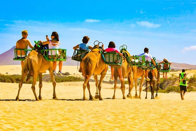 e-Scooter City Tour + Camel Ride inside Maspalomas Dunes - Thirty minutes on a camel among the dunes