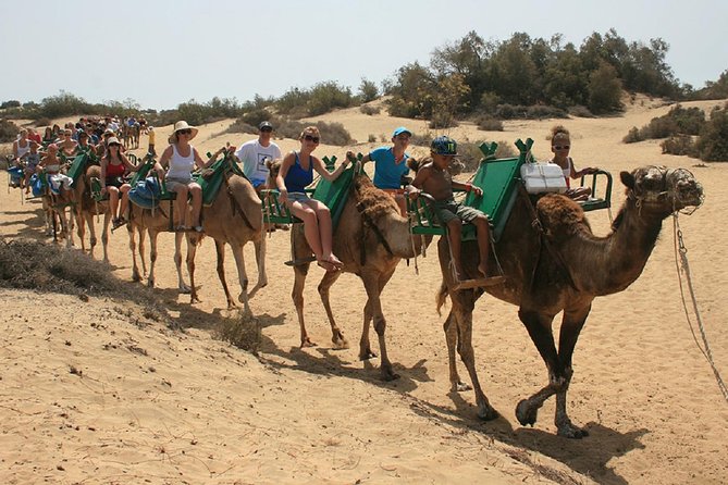 e-Scooter City Tour + Camel Ride inside Maspalomas Dunes - The Maspalomas golf area and palm-lined return