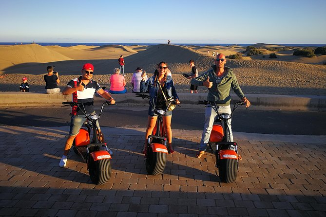 e-Scooter City Tour + Camel Ride inside Maspalomas Dunes - La Charca, a useful pause for birdwatching
