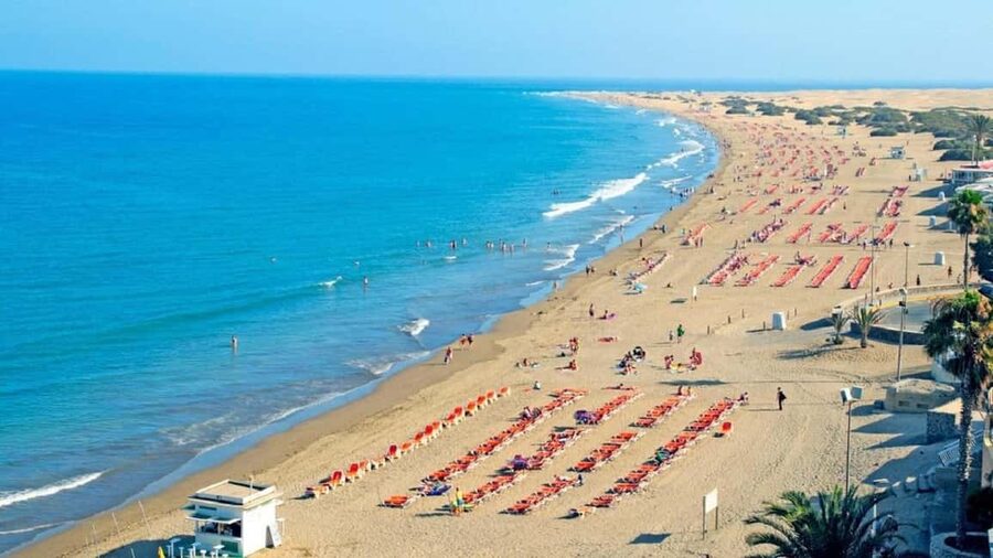 e-Scooter Step Kickstart Guided Tour: Sightseeing Maspalomas - Maspalomas Oasis and a birdwatching stop