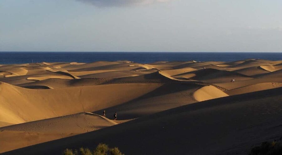 e-Scooter Step Kickstart Guided Tour: Sightseeing Maspalomas - Safety rules that affect your decision