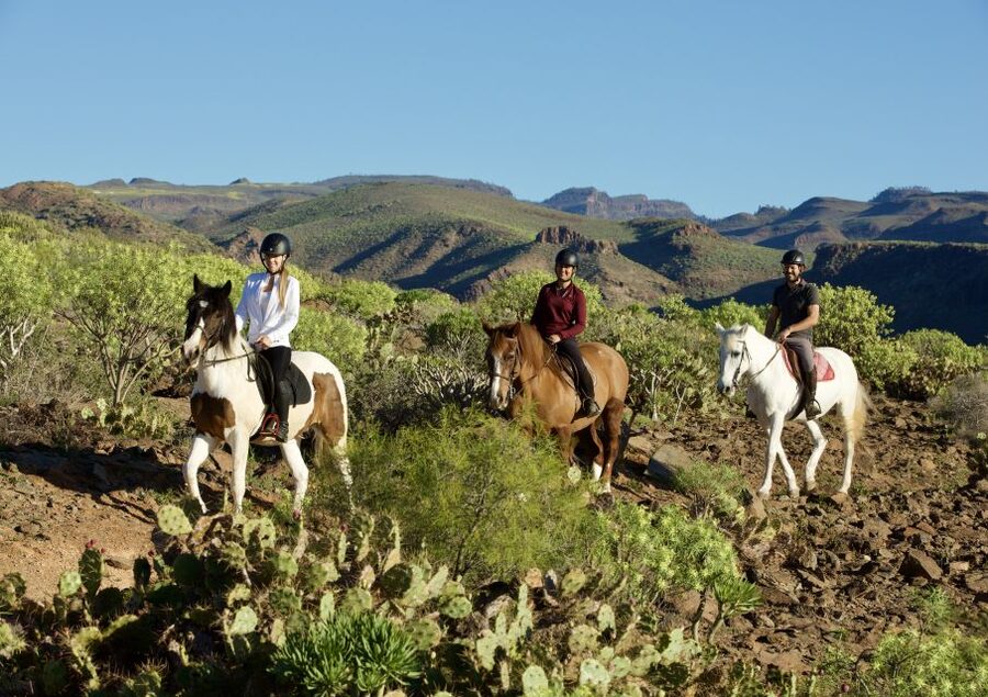 El Salobre: Horse Riding Adventure with Transfer Options - Riding Above El Salobre