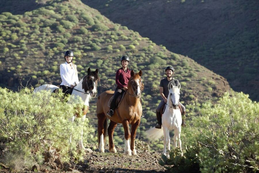 El Salobre: Horse Riding Adventure with Transfer Options - Meeting the Horses at the Ranch