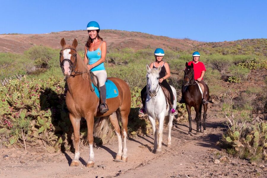 El Salobre: Horse Riding Adventure with Transfer Options - The View Toward Maspalomas