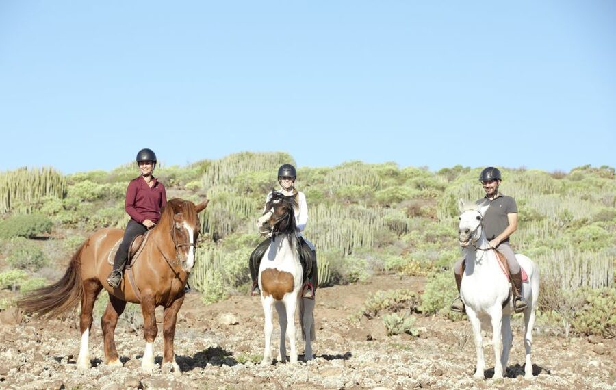 El Salobre: Horse Riding Adventure with Transfer Options - One Hour or Two Hours?