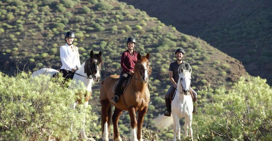 El Salobre: Horse Riding Adventure with Transfer Options - How the Route Feels on Horseback