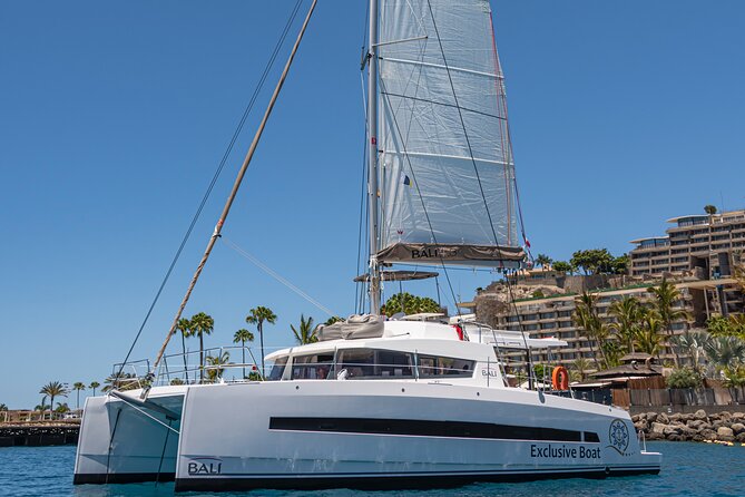 Exclusive Private Charter in Gran Canaria - Key points before you book