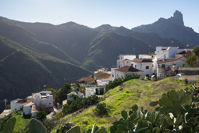 Firgas, Tejeda, Guayadeque - VIP Tour Gran Canaria - What this Gran Canaria tour really offers