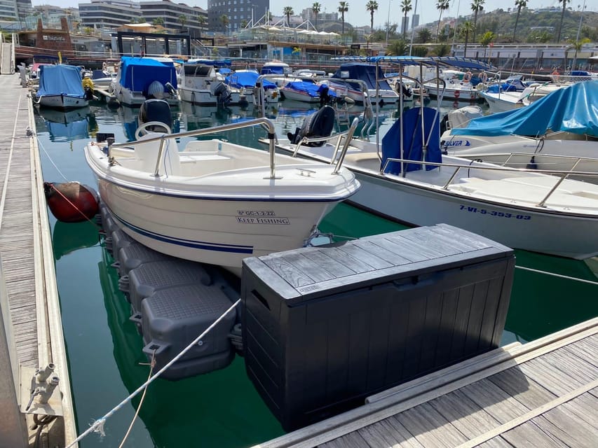From las Palmas : Day sailing experience along the coast - Key points to know before booking