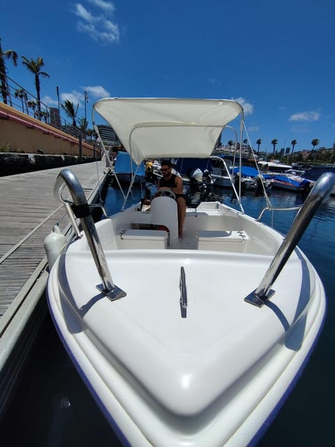From las Palmas : Day sailing experience along the coast - Who will enjoy this private coastal trip?