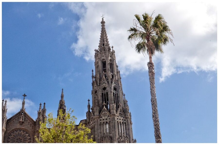 From Las Palmas: Full-Day Tour of the North - Key points to know before you book
