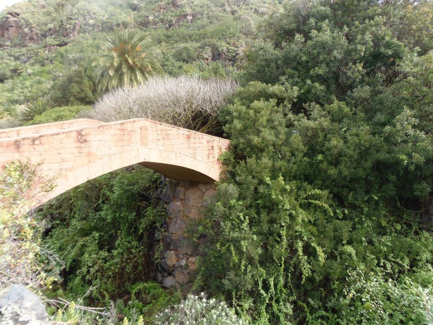 From Las Palmas: Full-Day Tour of the North - Agaete and a rare coffee-growing valley