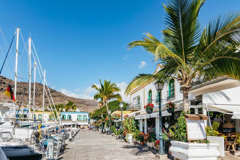 From Las Palmas: Highlights of Gran Canaria Day Tour - Guayadeque ravine and the island’s cave homes