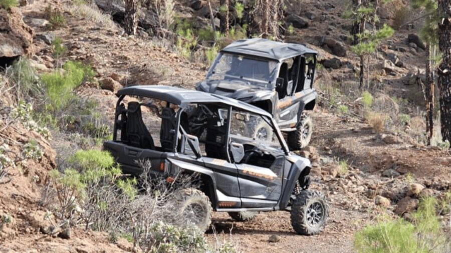 From Maspalomas: Volcanic Landscapes 4-Seater Buggy Tour - Rocky tracks, open views, and a little road work