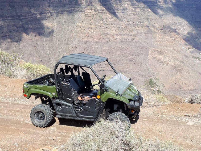 From Maspalomas: Volcanic Landscapes 4-Seater Buggy Tour - A guide adds more than directions