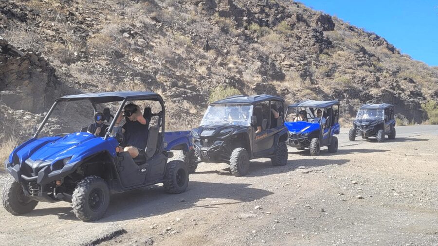 From Maspalomas: Volcanic Landscapes 4-Seater Buggy Tour - The Yamaha Wolverine and the family angle