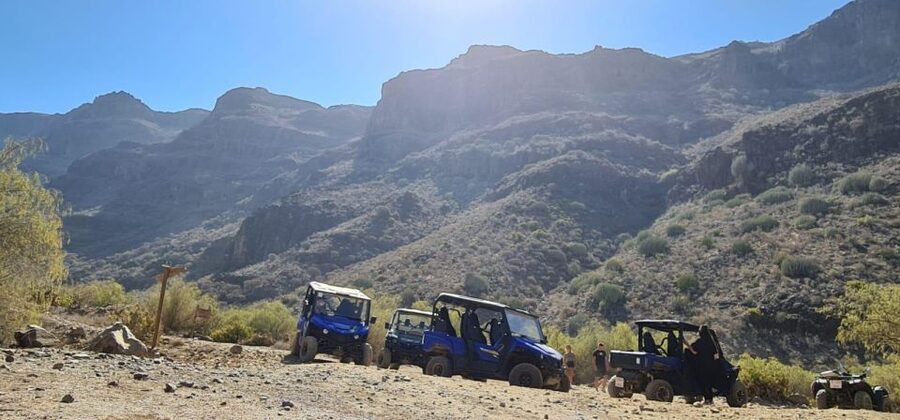 From Maspalomas: Volcanic Landscapes 4-Seater Buggy Tour - Who will enjoy this most?