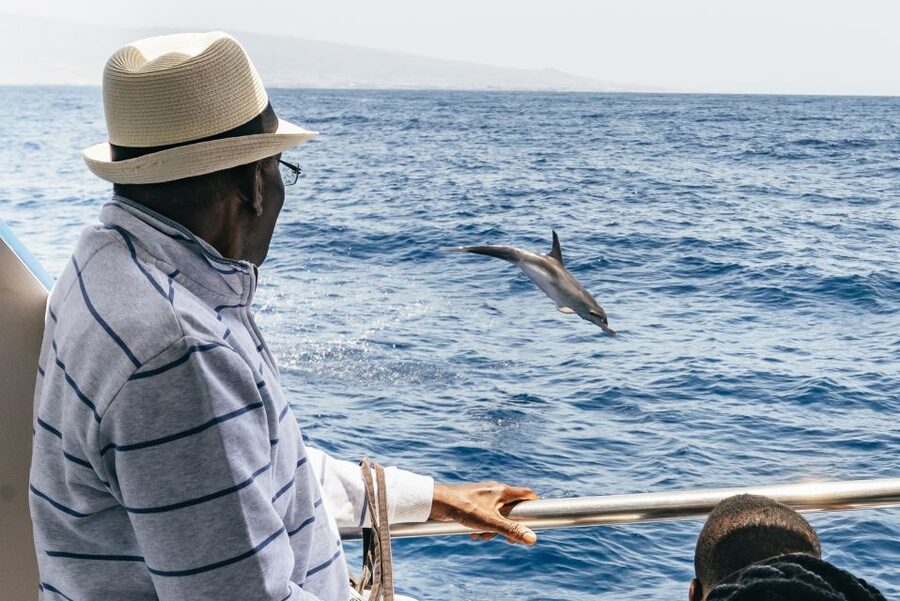 From Puerto Rico de Gran Canaria: Dolphin Watching Cruise - The Atlantic factor: seasickness and weather