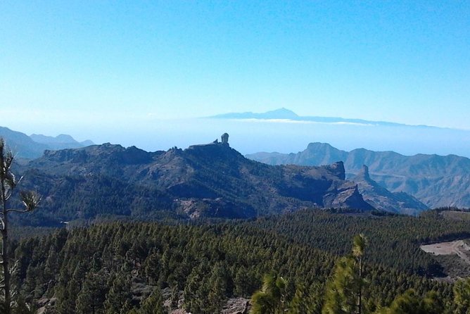 Full Day Across the Island Tour from Las Palmas - San Bartolomé de Tirajana slows the pace