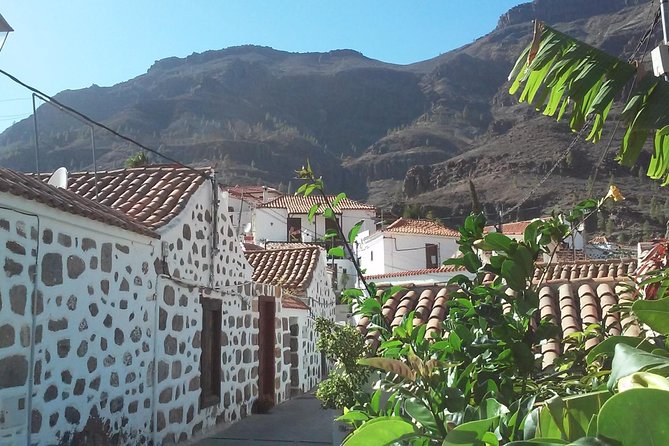 Full Day Across the Island Tour from Las Palmas - Fataga is the day’s best chance to slow down