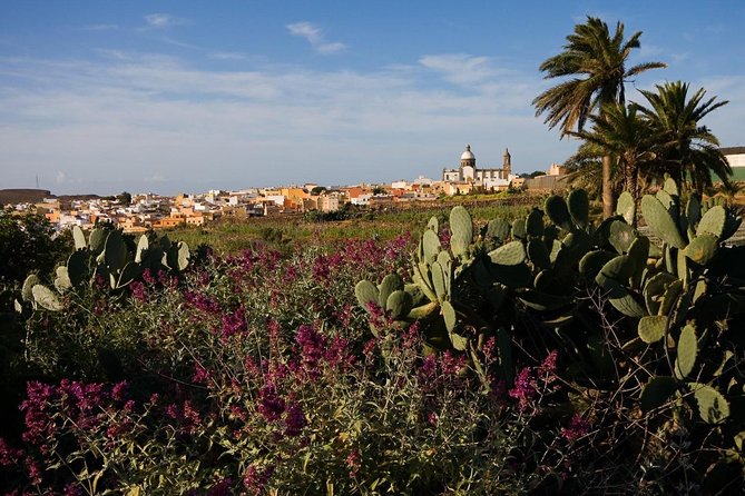 Full-Day Gran Canaria Island Tour - Cumbres - The aloe vera stop and commercial pauses