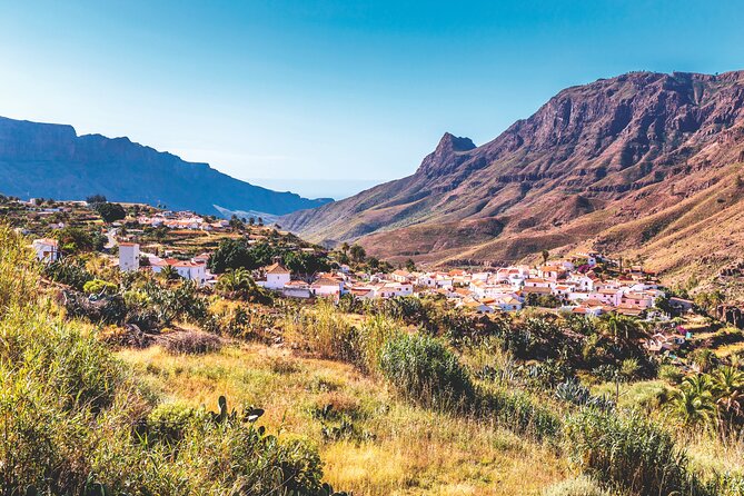 Full-Day Gran Canaria Tour with Teror, Tejeda and Lunch in Fataga - Teror and the Basilica of Our Lady of the Pine