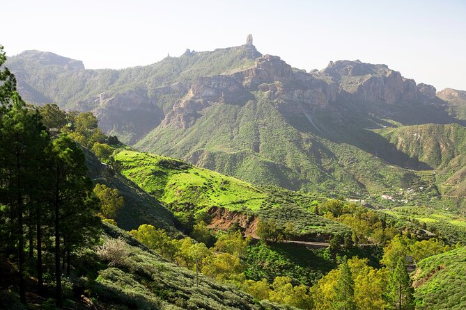 Full-Day Gran Canaria Tour with Teror, Tejeda and Lunch in Fataga - Fataga and the aloe vera plantation