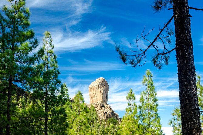 Full-Day Gran Canaria Tour with Teror, Tejeda and Lunch in Fataga - What the $98.40 price really covers