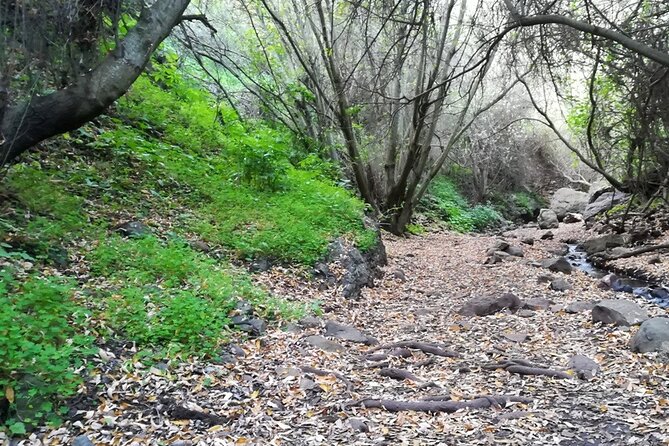 Full day Hiking and Waterfalls Experience - Following the waterfall route through the microclimate
