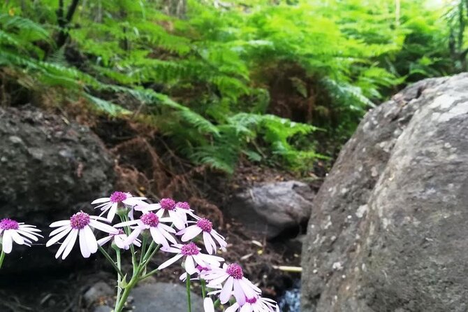 Full day Hiking and Waterfalls Experience - Maciej’s guiding style and the value of a small group