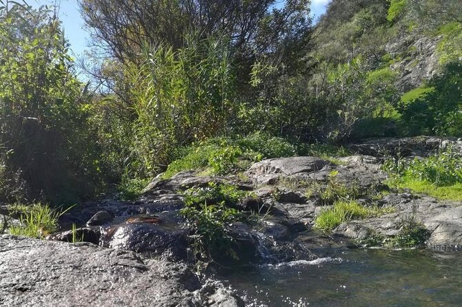 Full day Hiking and Waterfalls Experience - Clothing, shoes, and weather planning