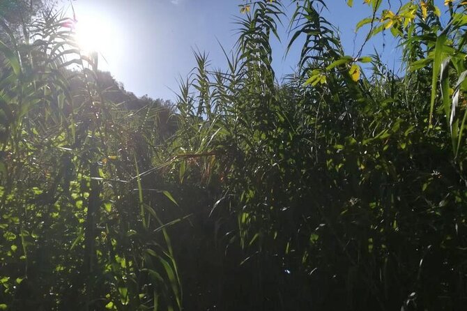 Full day Hiking and Waterfalls Experience - A nine-hour day from a 9:00 a.m. start