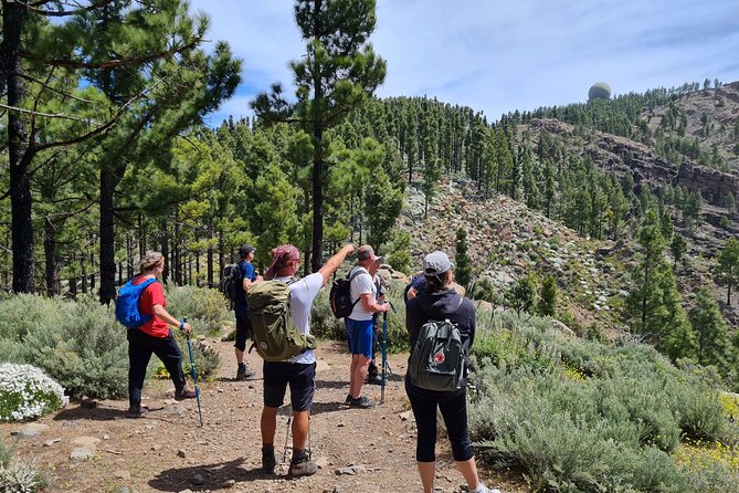 Full day Hiking Gran Canaria Peaks of Gran Canaria - Key points to know before booking