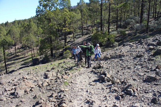 Full day Hiking Gran Canaria Peaks of Gran Canaria - A quieter alternative to the busiest viewpoints