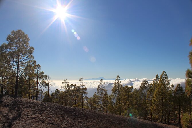 Full day Hiking Gran Canaria Peaks of Gran Canaria - Maciej’s guiding style