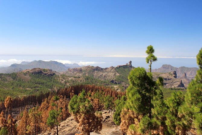 Full day Hiking Gran Canaria Peaks of Gran Canaria - The drive from Maspalomas to the high country