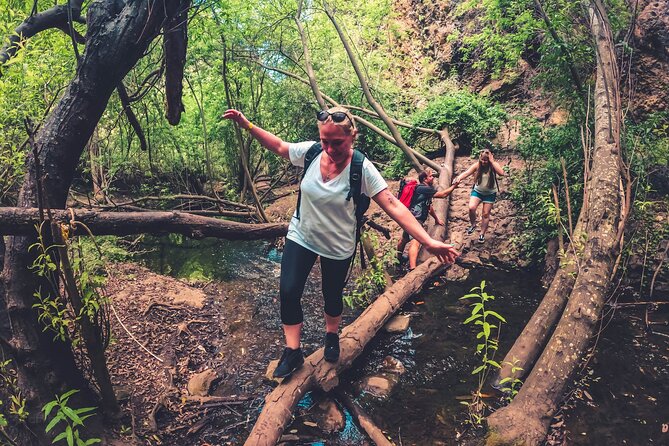 Full Day Rainforest Tour with Tasting and Swimming Time ツ - Why this tour shows you a different Gran Canaria