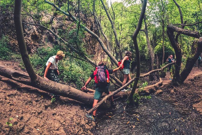 Full Day Rainforest Tour with Tasting and Swimming Time ツ - The eco-farm tasting