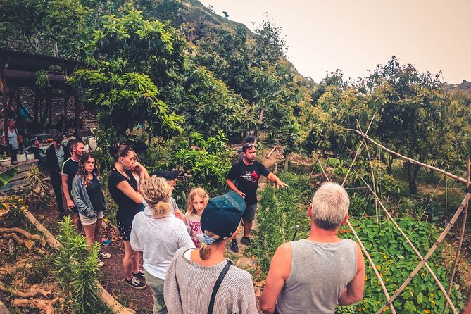 Full Day Rainforest Tour with Tasting and Swimming Time ツ - Walking into Azuaje Ravine