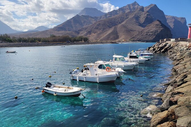 Full Private Tour of Gran Canaria with Natural Pools - The road, vehicle, and pace