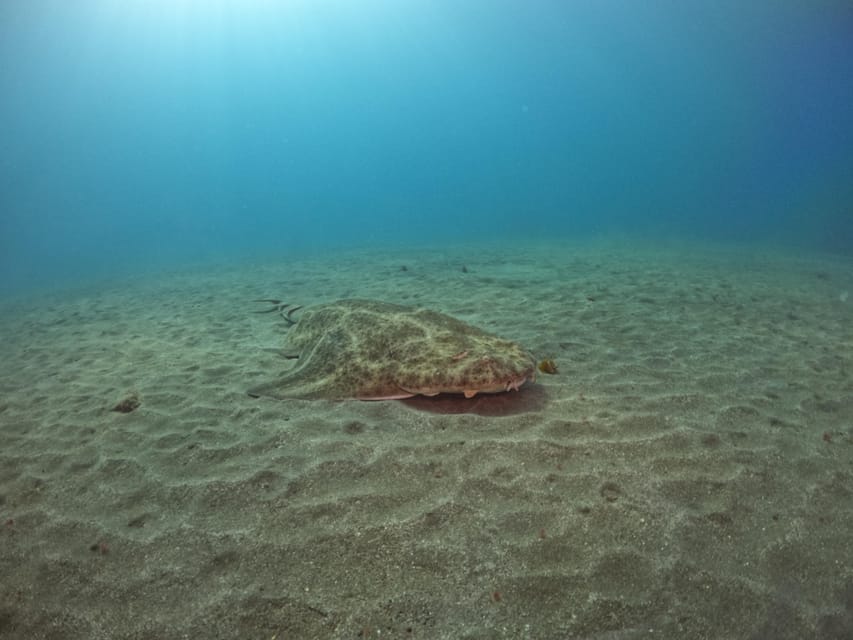 Gran Canaria: 3-Day Open Water Diver Course - What the instructors add to the experience