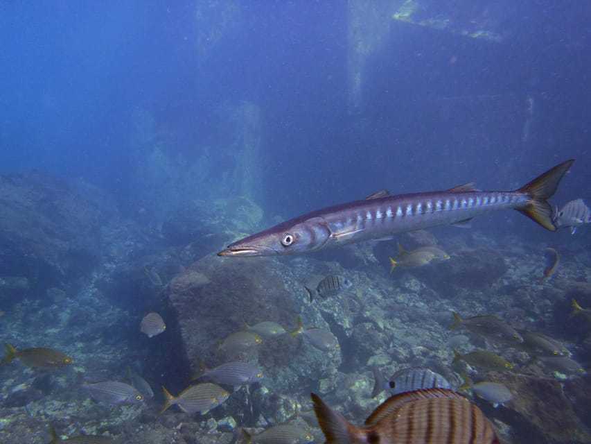 Gran Canaria: 3-Day Open Water Diver Course - What the $530 price really covers