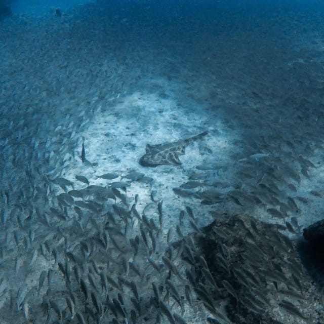 Gran Canaria: 3-Day Open Water Diver Course - Who will enjoy this course most