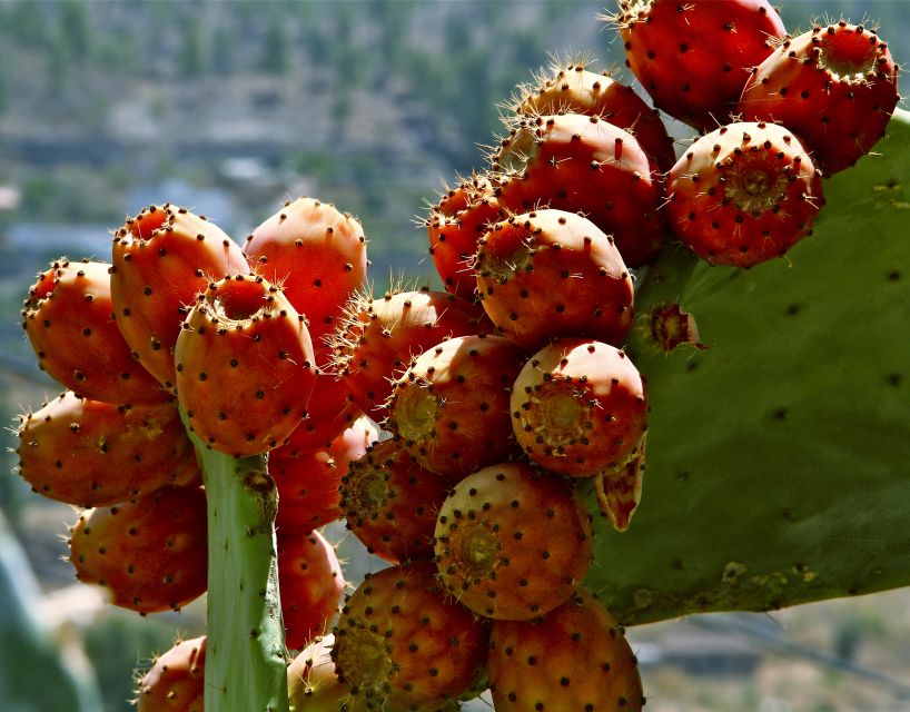 Gran Canaria: 6-Hour Teror and San Mateo Markets Tour - San Mateo: crafts, flowers, and a broader market mix