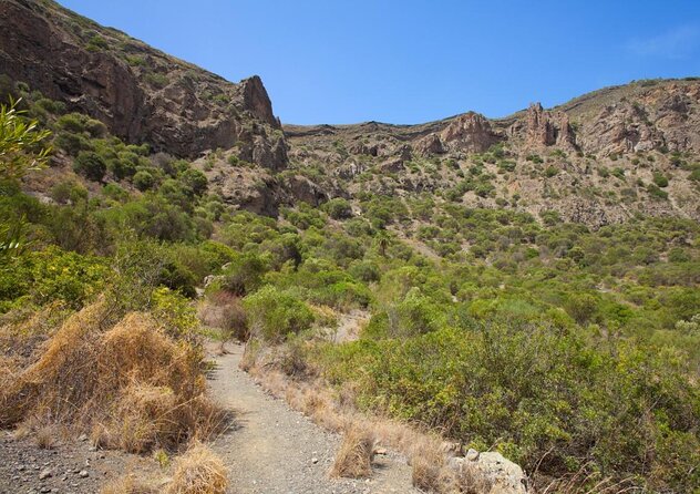 Gran Canaria 7 Highlights Small Group Tour with Tapas Picnic - One day from Tufia’s black sand to Gran Canaria’s high peaks