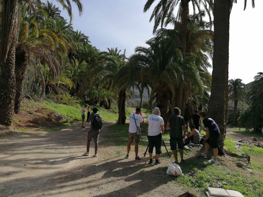 Gran Canaria: Camel Ride at Camel Safari Park - Why the Palm Setting Matters