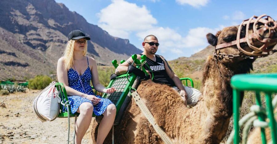 Gran Canaria: Camel Ride Safari w/ Optional Food & Transport - Key points to know before you book