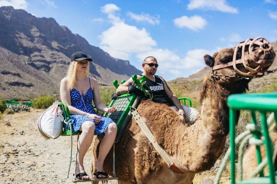 Gran Canaria: Camel Ride Safari w/ Optional Food & Transport - The ride, the heat, and what to wear