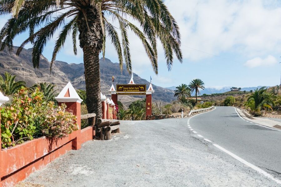 Gran Canaria: Camel Ride Safari w/ Optional Food & Transport - Hotel pickup through southern Gran Canaria