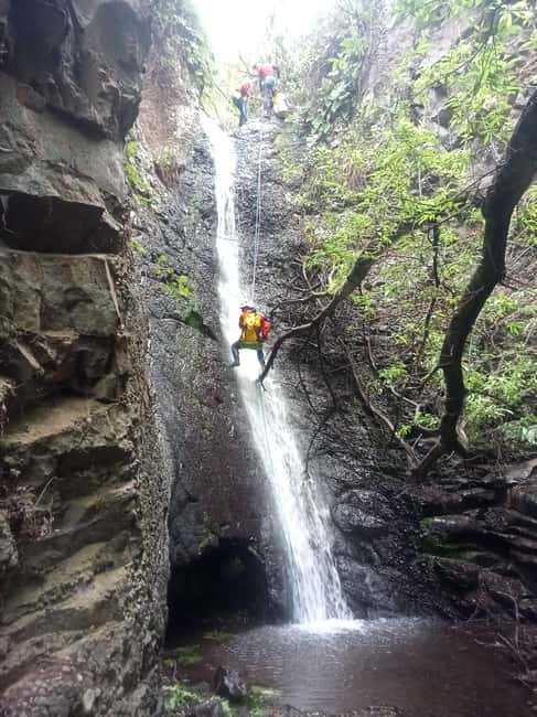 Gran Canaria: Canyoning Adventure in the Green Heart Jungle - Into Gran Canaria’s wet green heart